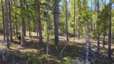 TBD Summit Gulch Road - Photo 19