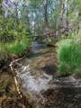 63001 Cc County Road - Photo 1