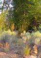 63001 Cc County Road - Photo 7