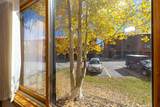 731 Lagoon Drive - Photo 16