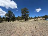 595 Bridle Path - Photo 6