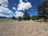 595 Bridle Path - Photo 7