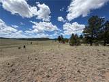 595 Bridle Path - Photo 8