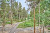700 Snowberry Lane - Photo 11