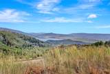 31500 Runaway Place - Photo 43