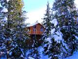 562 Piney Acres Circle - Photo 46