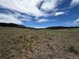 776 Commanche Trail - Photo 13