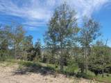 5217 Middle Fork - Photo 11