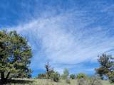 5217 Middle Fork - Photo 13