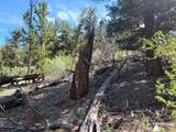 5217 Middle Fork - Photo 17