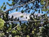 5217 Middle Fork - Photo 21