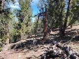 5217 Middle Fork - Photo 22