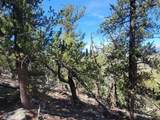 5217 Middle Fork - Photo 26