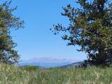 5217 Middle Fork - Photo 28