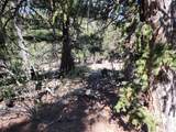 5217 Middle Fork - Photo 31