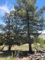 5217 Middle Fork - Photo 43