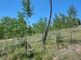 5217 Middle Fork - Photo 45