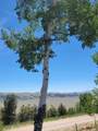 5217 Middle Fork - Photo 47