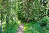 300 County Road 75 - Photo 21