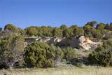 TBD State Highway 394 - Photo 15
