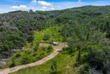 28350 County Road 14 - Photo 12
