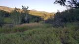 28350 County Road 14 - Photo 13
