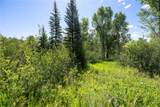 1350 Anglers Drive - Photo 14