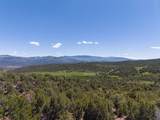 2945 State Highway 131 - Photo 11