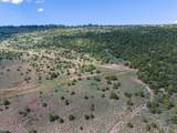 2945 State Highway 131 - Photo 35