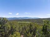 2435-2945 Co-131 - Photo 12