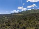 2435-2945 Co-131 - Photo 13