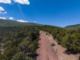 2435-2945 Co-131 - Photo 15
