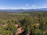 2435-2945 Co-131 - Photo 16