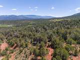 2435-2945 Co-131 - Photo 18