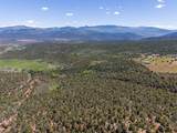 2435-2945 Co-131 - Photo 21