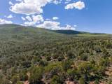 2435-2945 Co-131 - Photo 25