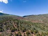 2435-2945 Co-131 - Photo 26