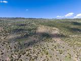 2435-2945 Co-131 - Photo 29