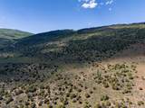 2435-2945 Co-131 - Photo 33