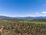 2435-2945 Co-131 - Photo 38