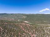 2435-2945 Co-131 - Photo 4