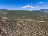 2435-2945 Co-131 - Photo 6