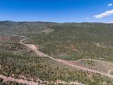 2435-2945 Co-131 - Photo 7
