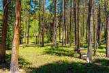 277 Wagon Road - Photo 42