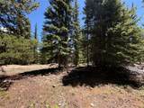 339 Silverheels Place - Photo 12