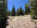 339 Silverheels Place - Photo 9