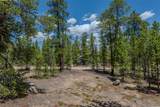 294 Peak View Drive - Photo 4