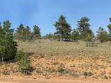 250 Pinto Trail - Photo 10
