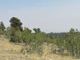 250 Pinto Trail - Photo 12