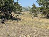 250 Pinto Trail - Photo 13